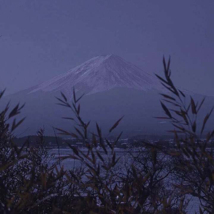 一起走到最后吧