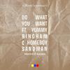 TiRon & Ayomari - Do What You Want (feat. Yummy Bingham & Homeboy Sandman) (Radio Edit)