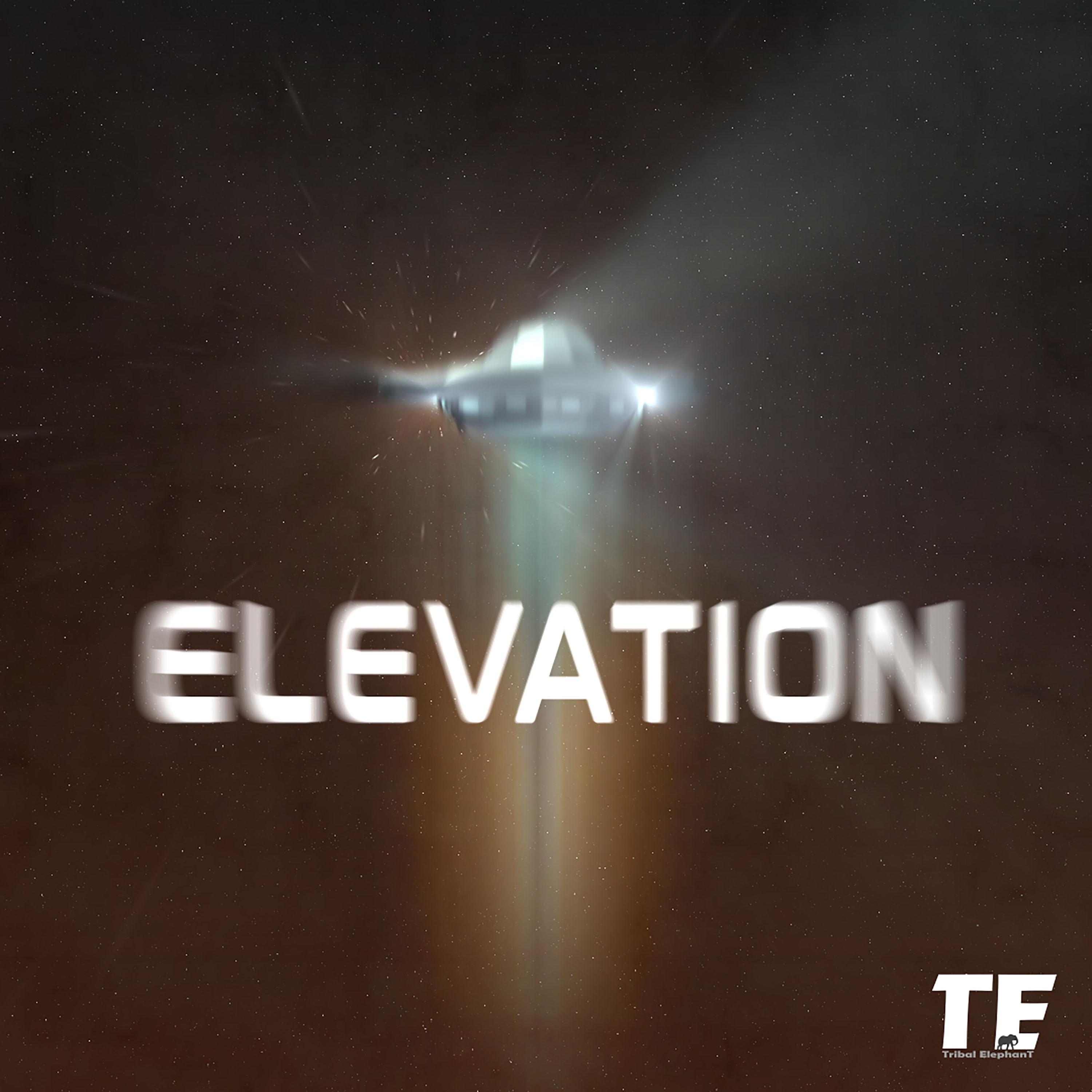 Tribal elephanT - Elevation