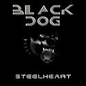 BLACK DOG专辑