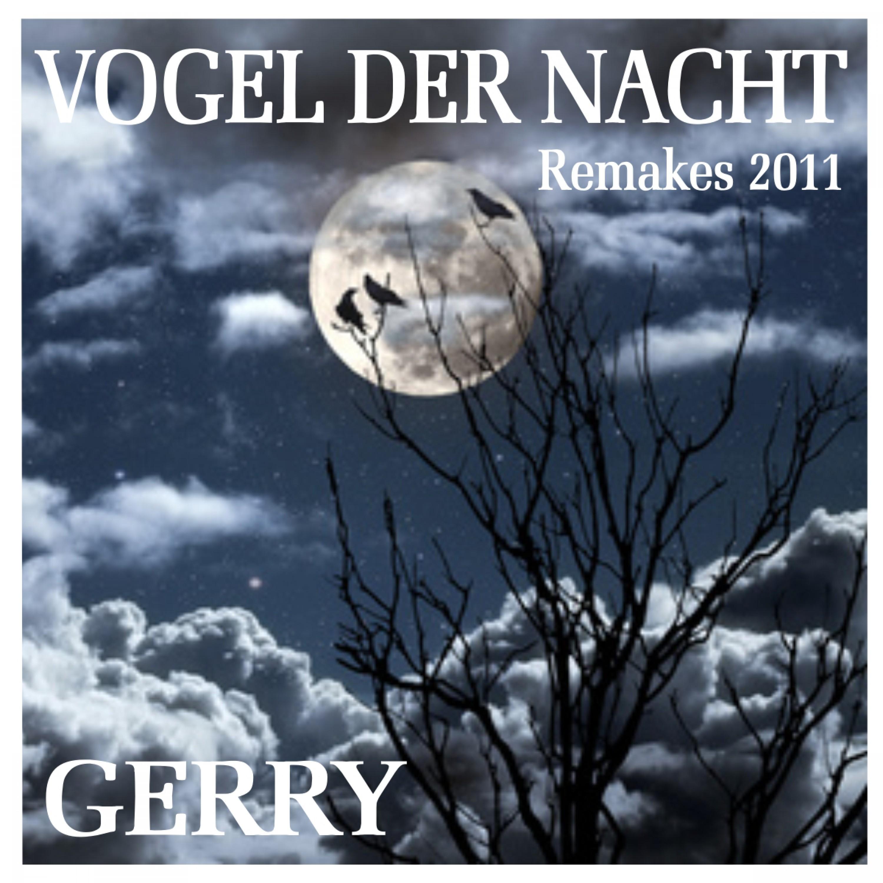 Vogel der Nacht (2011Er Remakes)