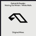 Waiting For Winter / White Walls专辑