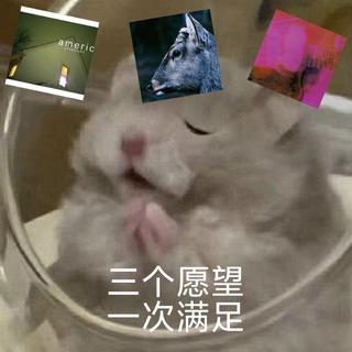 emo/数摇/盯鞋｜三个愿望一次满足！