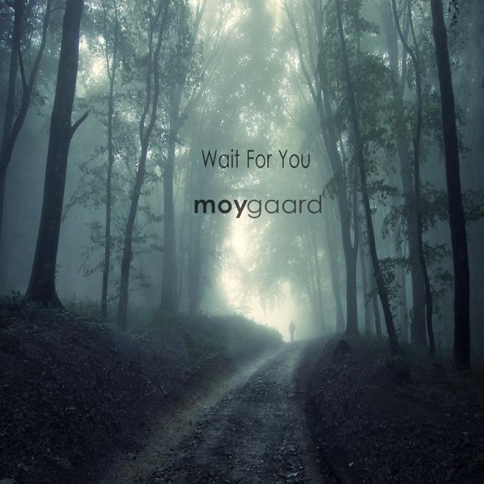 Wait For You