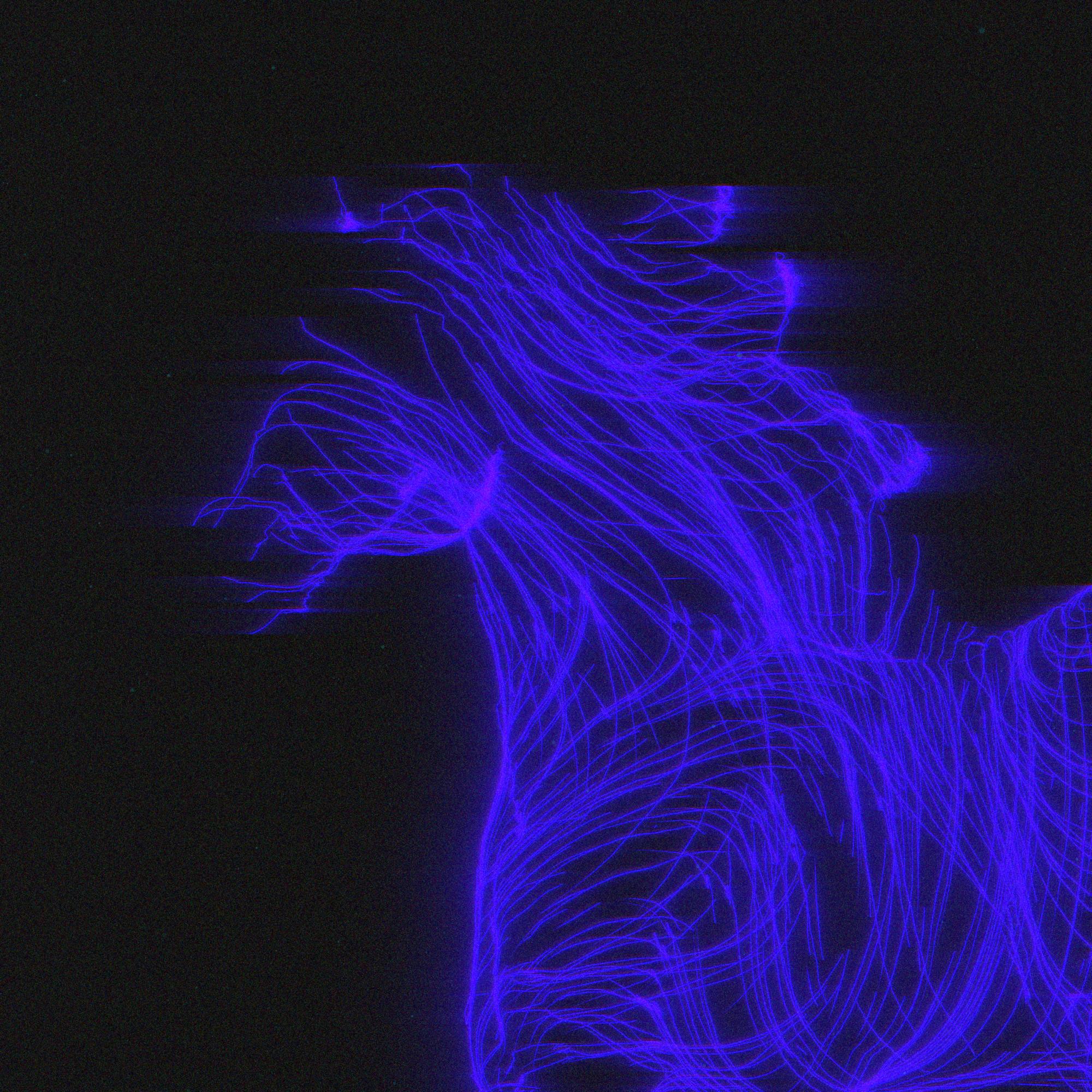 Alcor