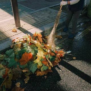 爱那么短，遗忘那么长。| 持续更新中