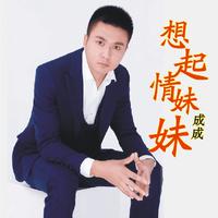 成成 - 想起情妹妹(原版立体声伴奏)