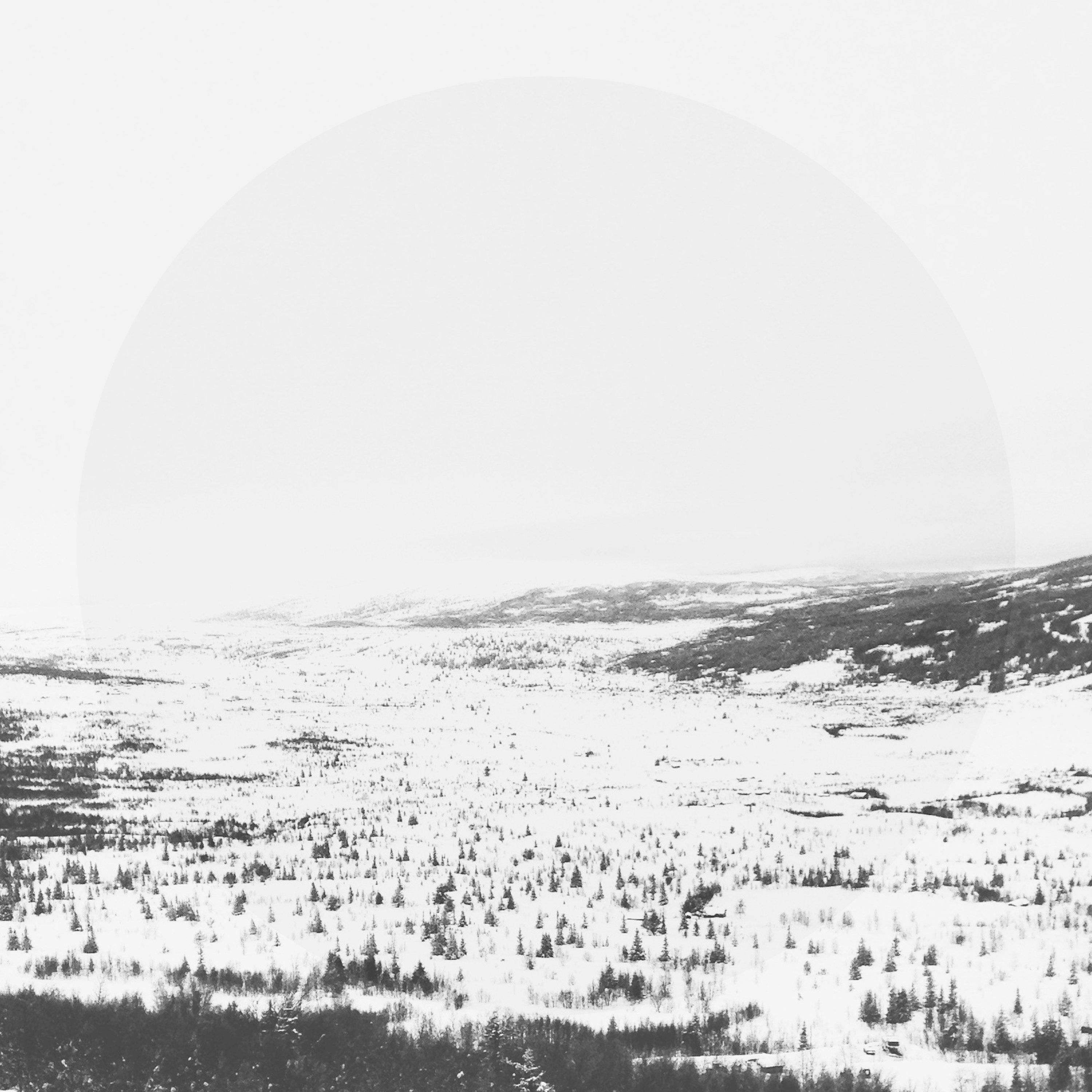 Hundrede Træer (Analogue Dear Rework)