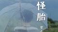 怪胎专辑