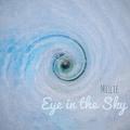 Eye in the Sky