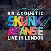 Skunk Anansie - Because Of You (karaoke)