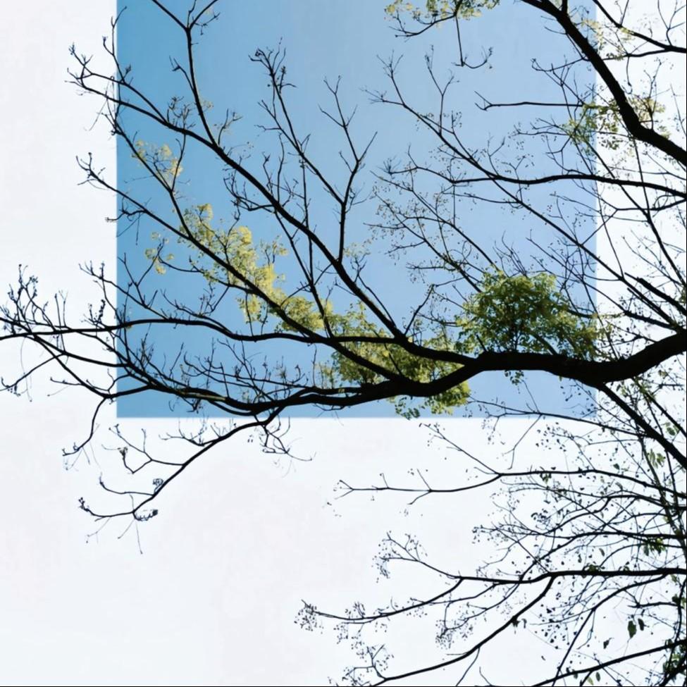 枯木逢春（DJ版）