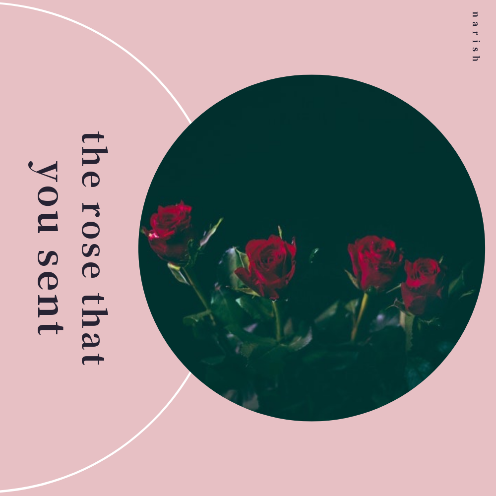 rose