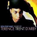 Sign Your Name: The Best Of Terence Trent D'Arby专辑