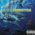 重感冒Freestyle