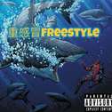 重感冒Freestyle专辑