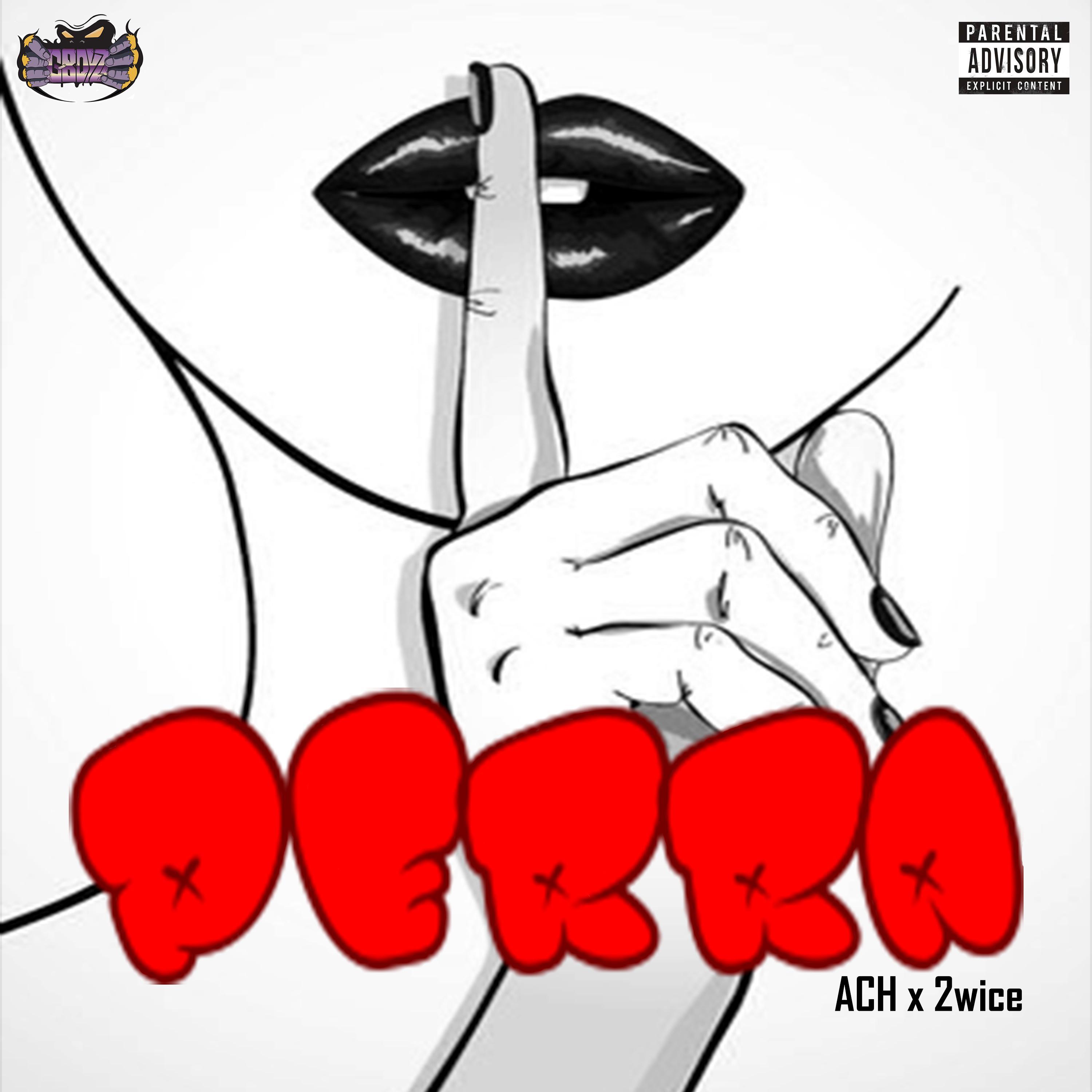 Perra (feat. Nyzk & 2wice)