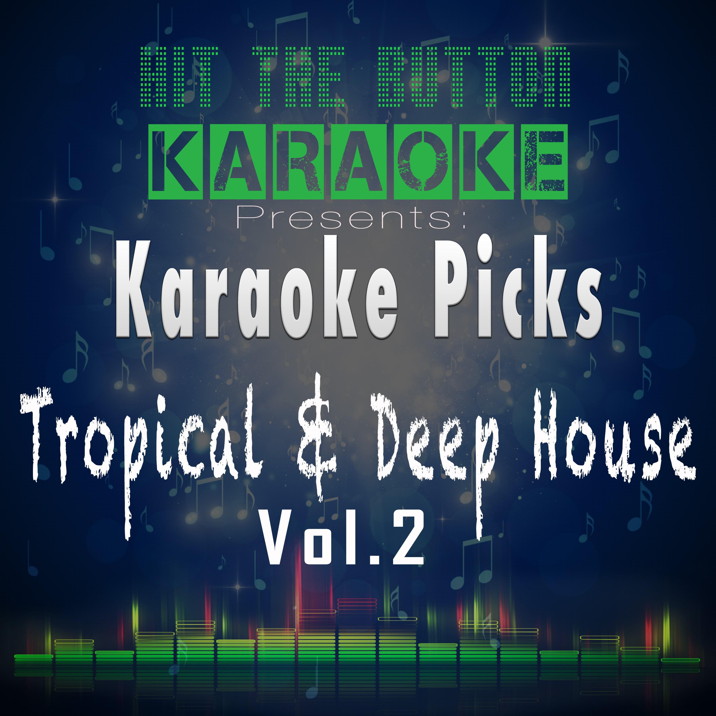 Karaoke Picks - Tropical & Deep House Vol. 2专辑