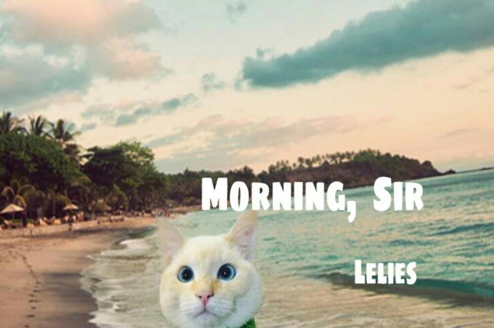 Morning, Sir
