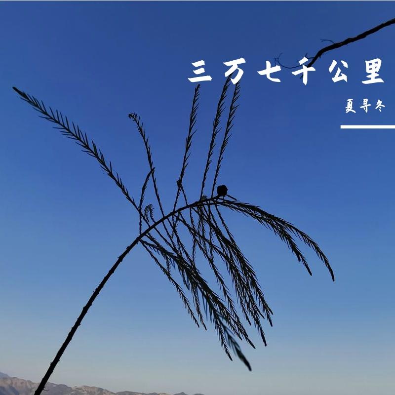 跟月亮捉迷藏(pure music)