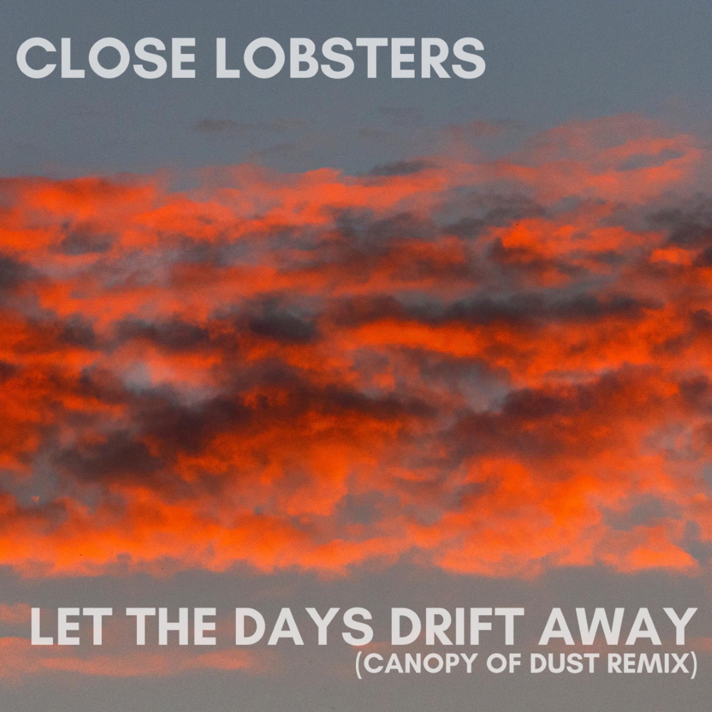The Days Drift Away (Canopy of Dust Remix)