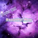 Beautiful Now（Trater Remix）专辑