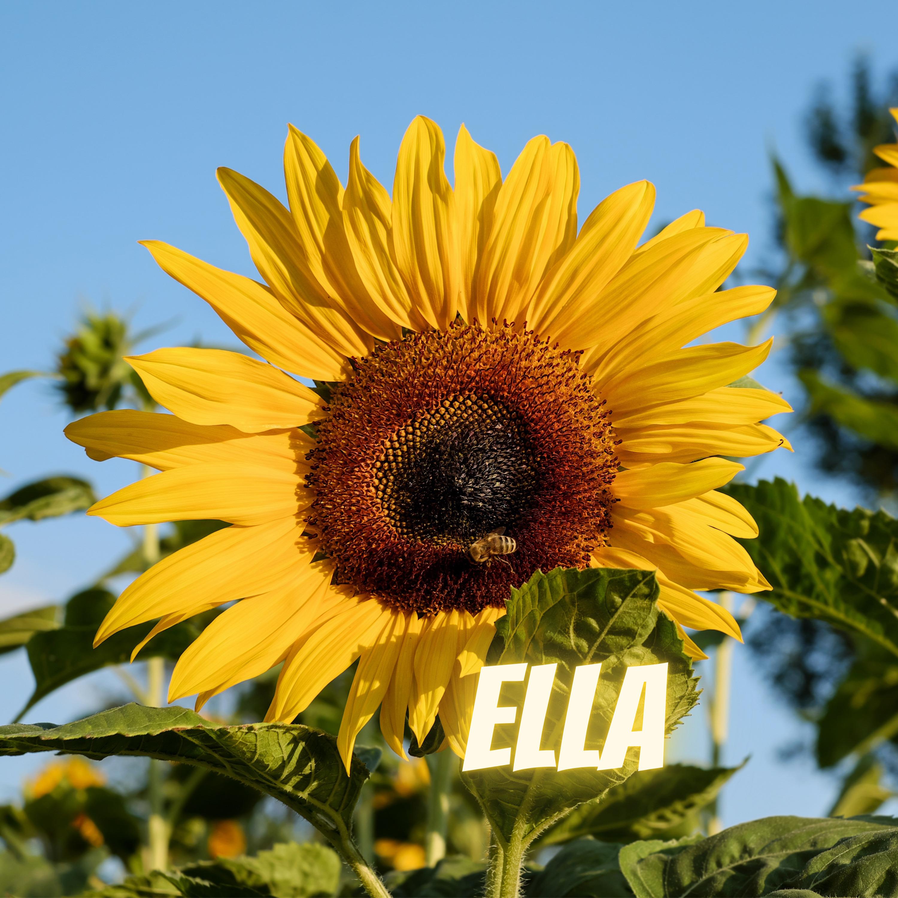 Ella