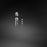 若南寻 - 想你想你想你(原版立体声伴奏)
