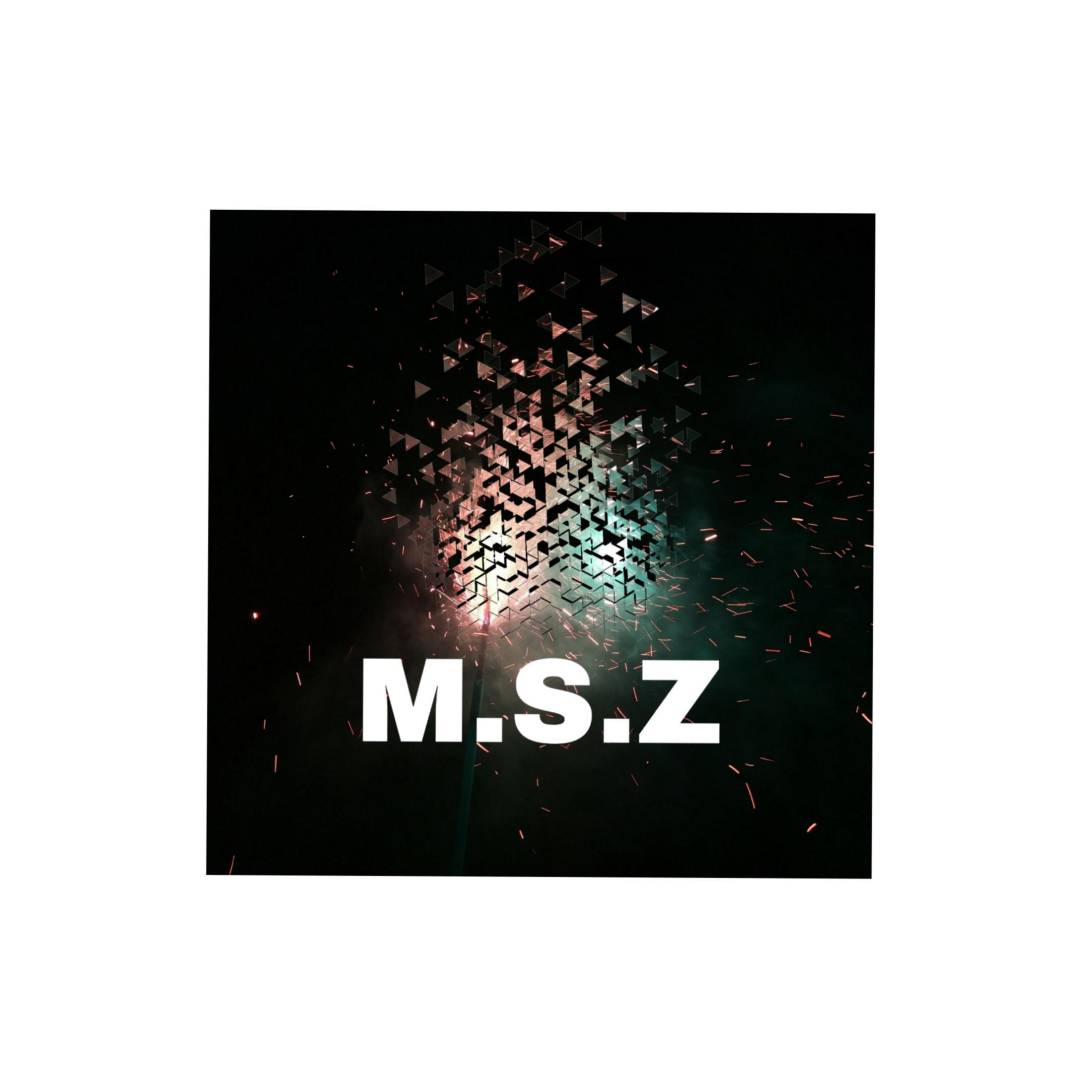 M.S.Z专辑