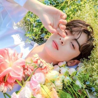【声控精品】男友嗓｜温柔乡的哄睡耳边情话
