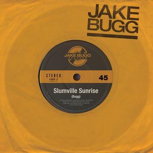 Slumville Sunrise - Jake Bugg (unofficial Instrumental) 无和声伴奏
