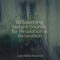 50 Soothing Nature Sounds for Relaxation & Relaxation