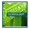 Rainy Gardens Nature Sounds - Tropical Insects & Frogs