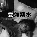 爱如潮水Remix