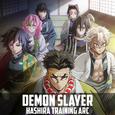 Demon Slayer: Hashira Training Arc