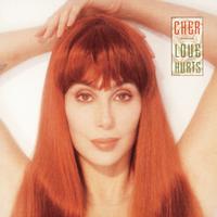 Cher - Love Hurts (Instrumental) 无和声伴奏