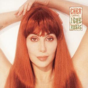 Love Hurts - Cher (AP Karaoke) 带和声伴奏