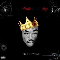 Terra Wolf - Outta Space