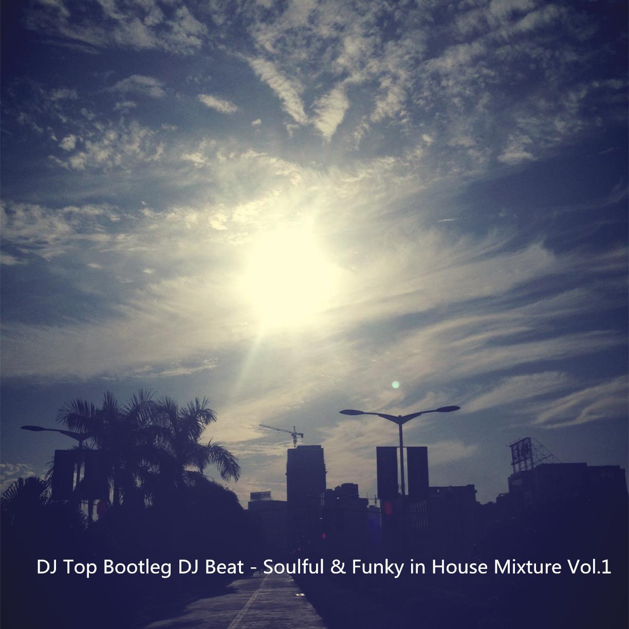 Soulful & Funky in House Mixture Vol.1专辑