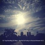 Soulful & Funky in House Mixture Vol.1专辑