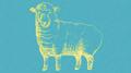 scapegoat