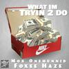 ATM Mob - What Im Tryin 2 Do (feat. Foxee Haze)