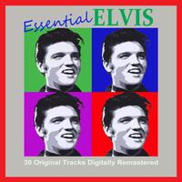 Elvis Presley - Wooden Heart (karaoke)