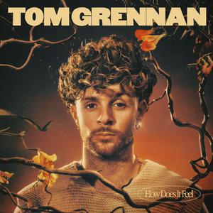 Tom Grennan - How Does It Feel (VS karaoke) 带和声伴奏