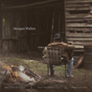 Morgan Wallen - One Thing At A Time (Pr Instrumental2) 无和声伴奏 （升4半音）