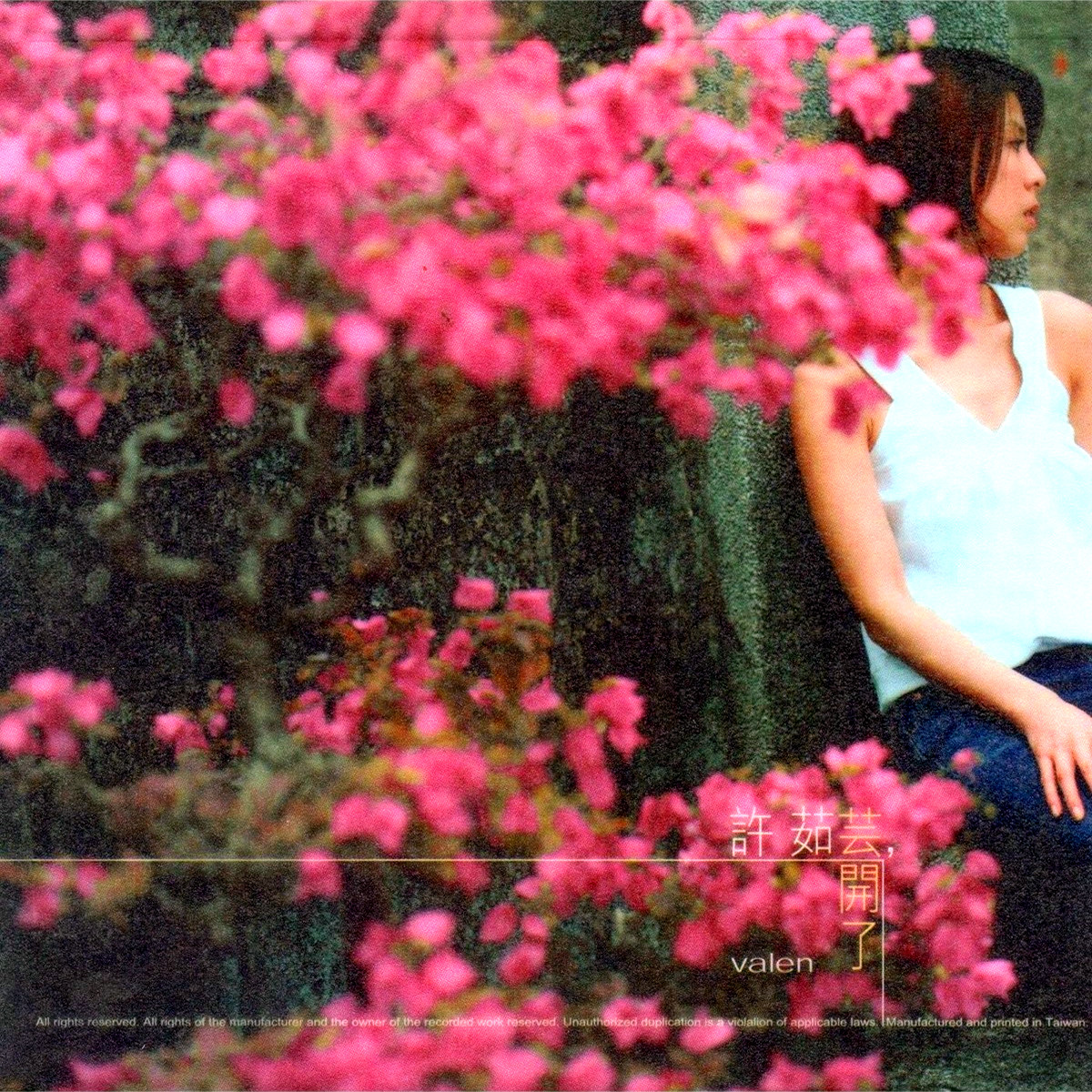 许茹芸歌曲封面