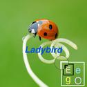 Ladybird专辑