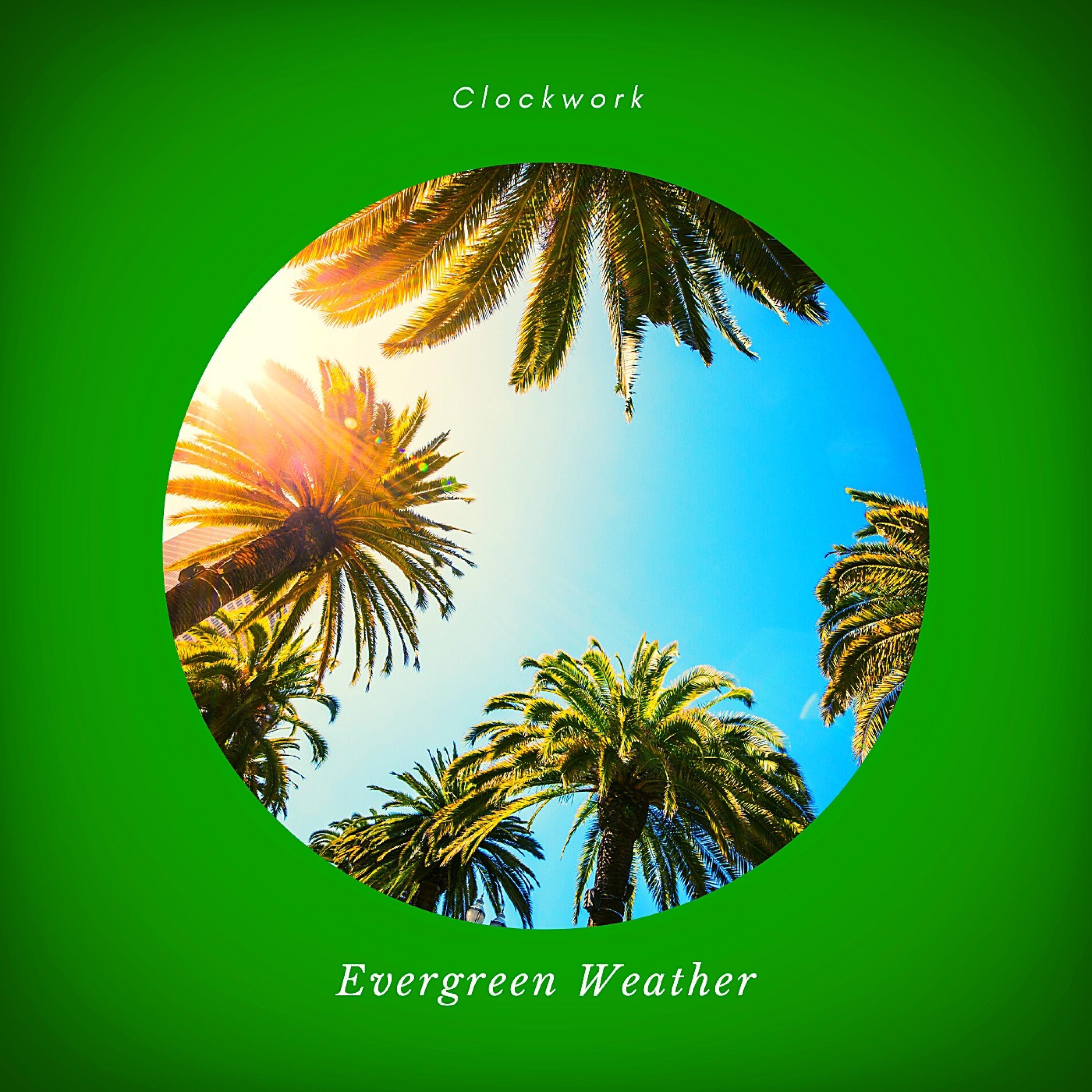 Evergreen Weather