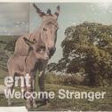 Welcome Stranger专辑