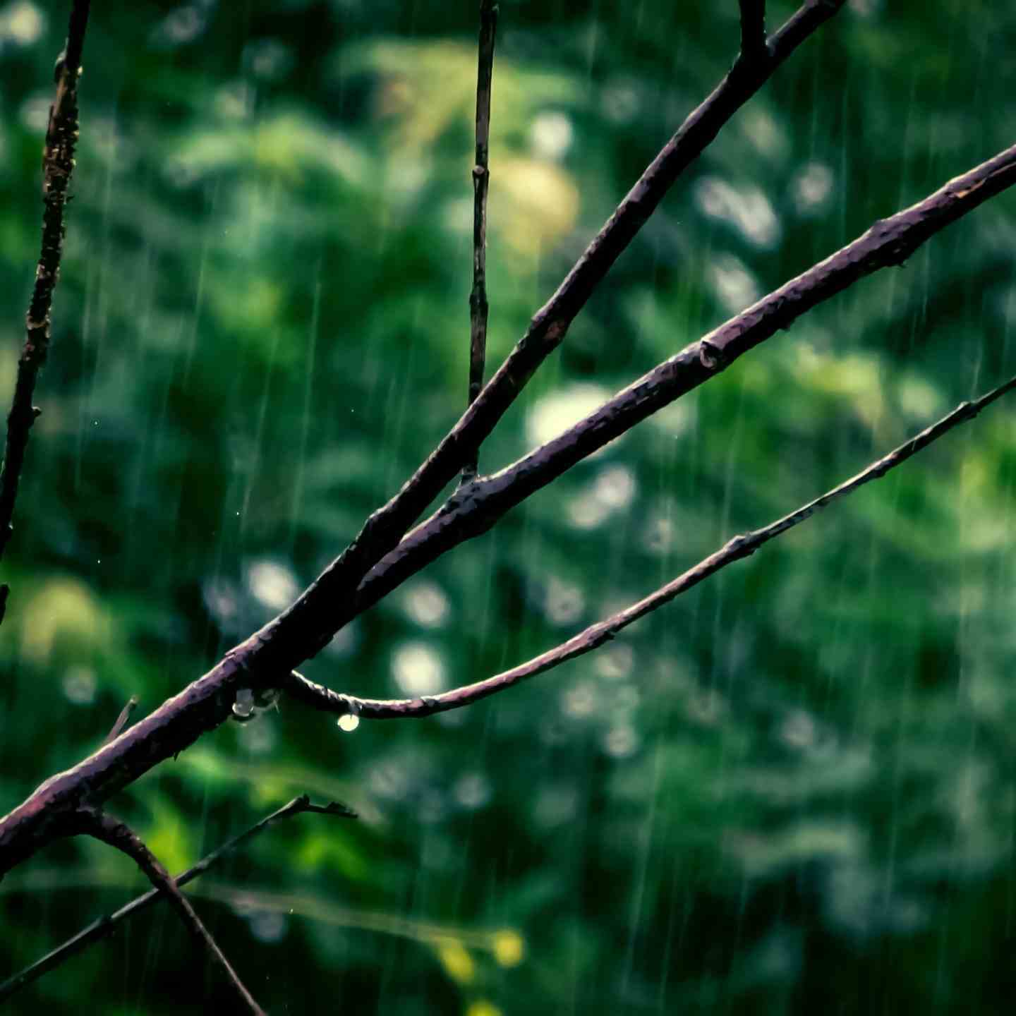 雨天睡觉｜催眠｜躺平｜解压